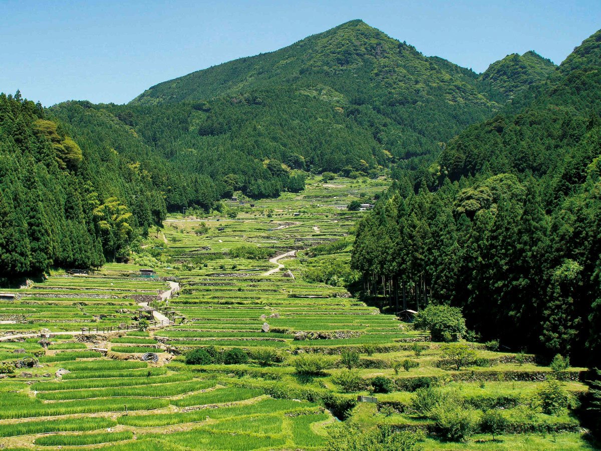 🌾 요츠야 천매전 (요츠야 센마이다) 이미지 6